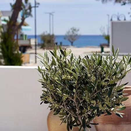 Daire Sia Mare Seaside *